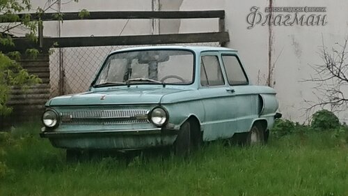 DSC_2022.05.21 15-08-15_0230